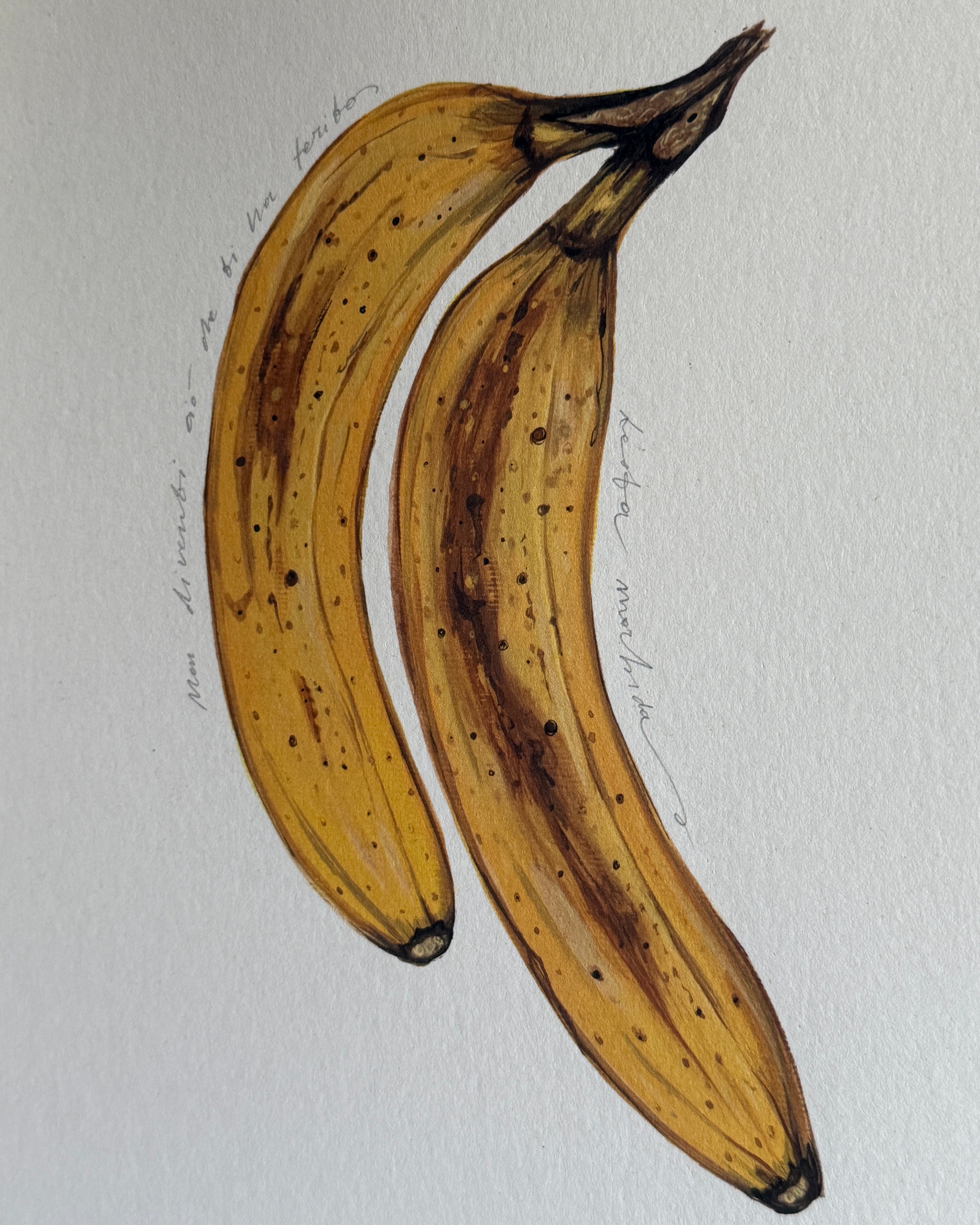 Banana