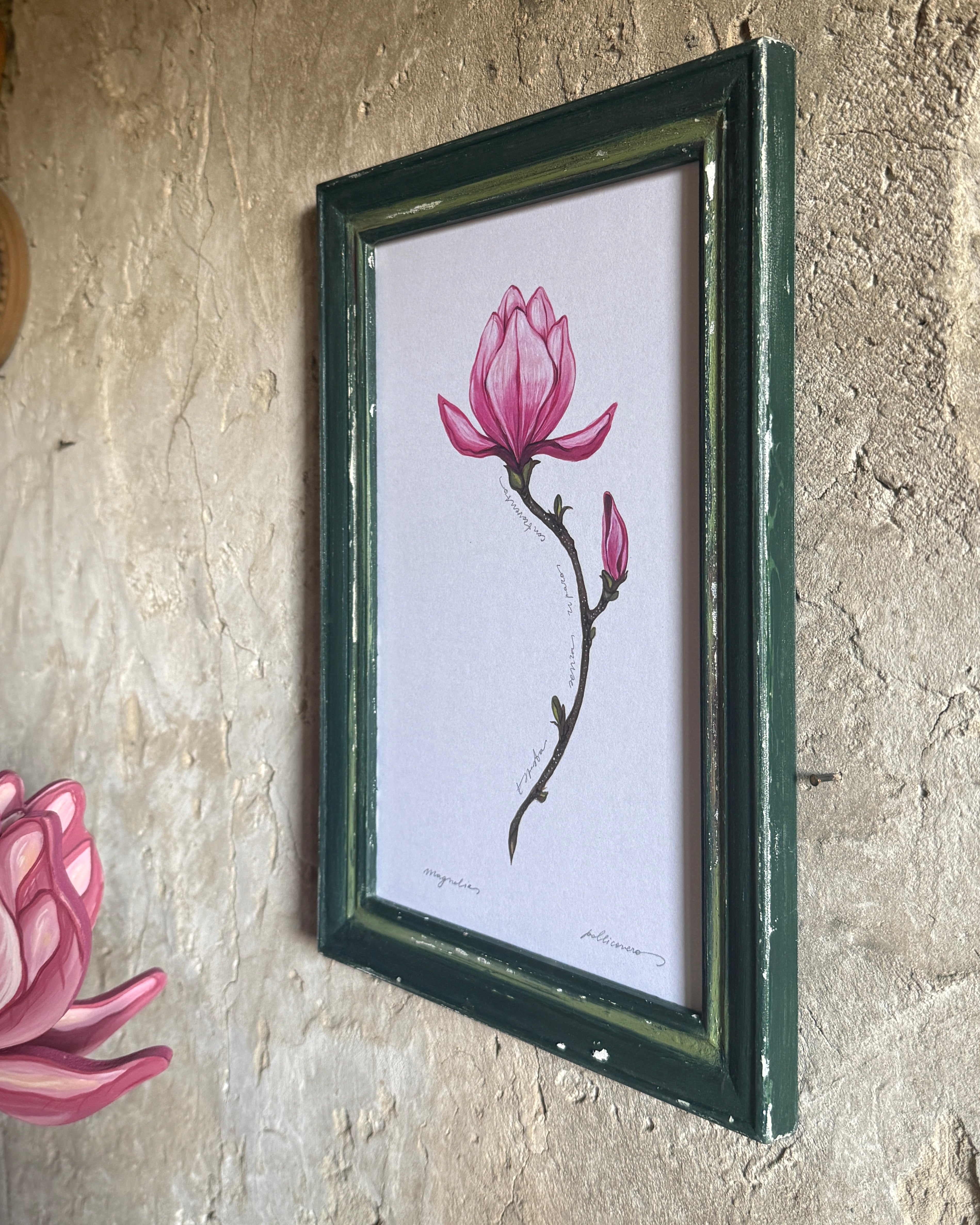 Magnolia
