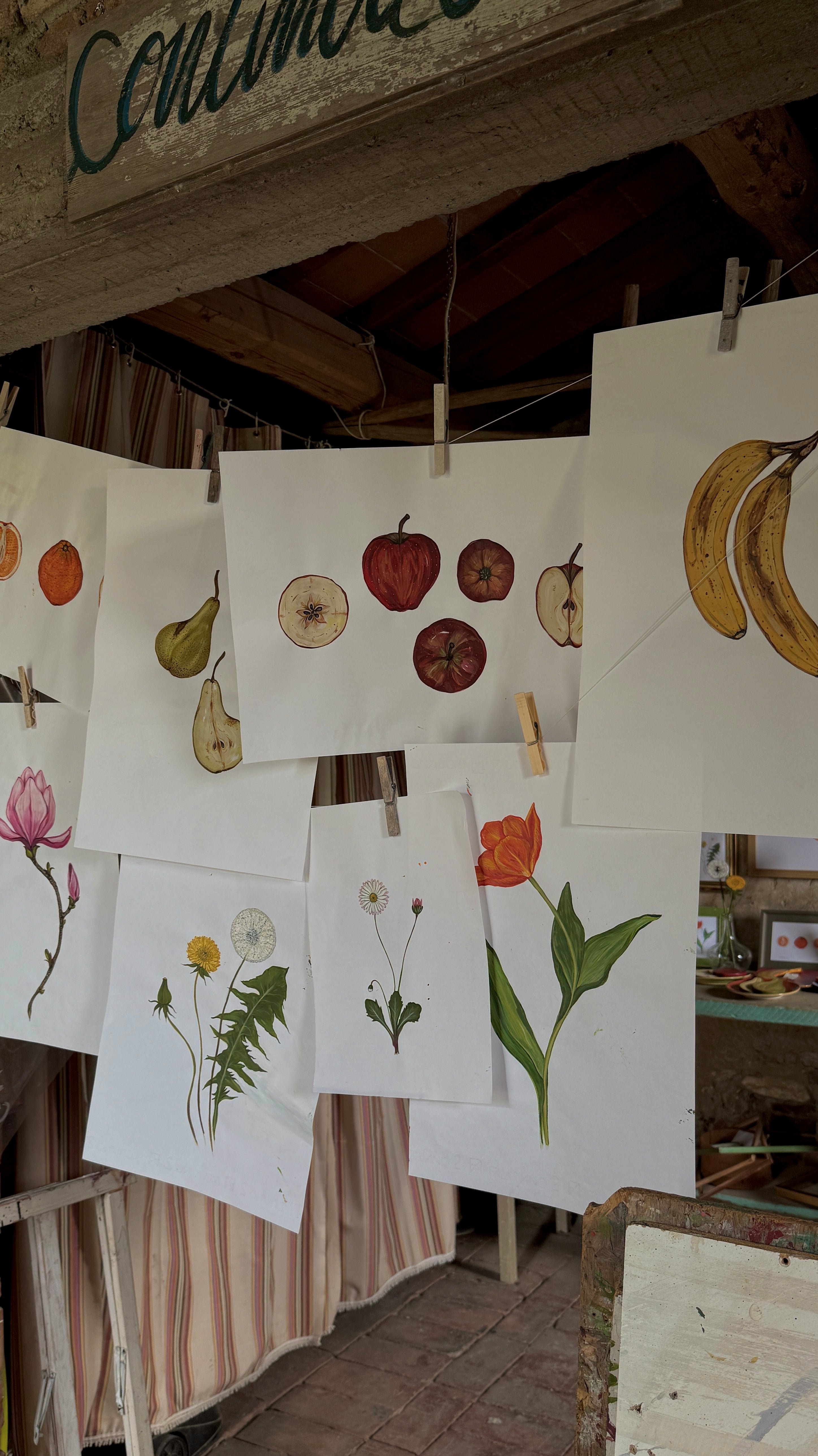 Botanica sentimentale