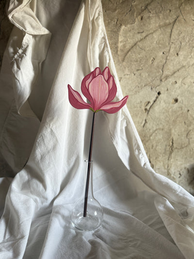 Magnolia