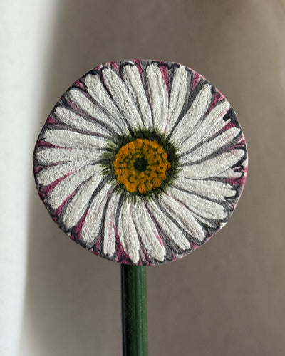 Margherita mignon