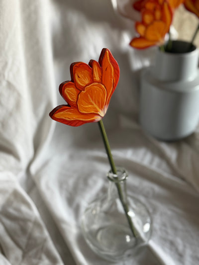 Tulipano