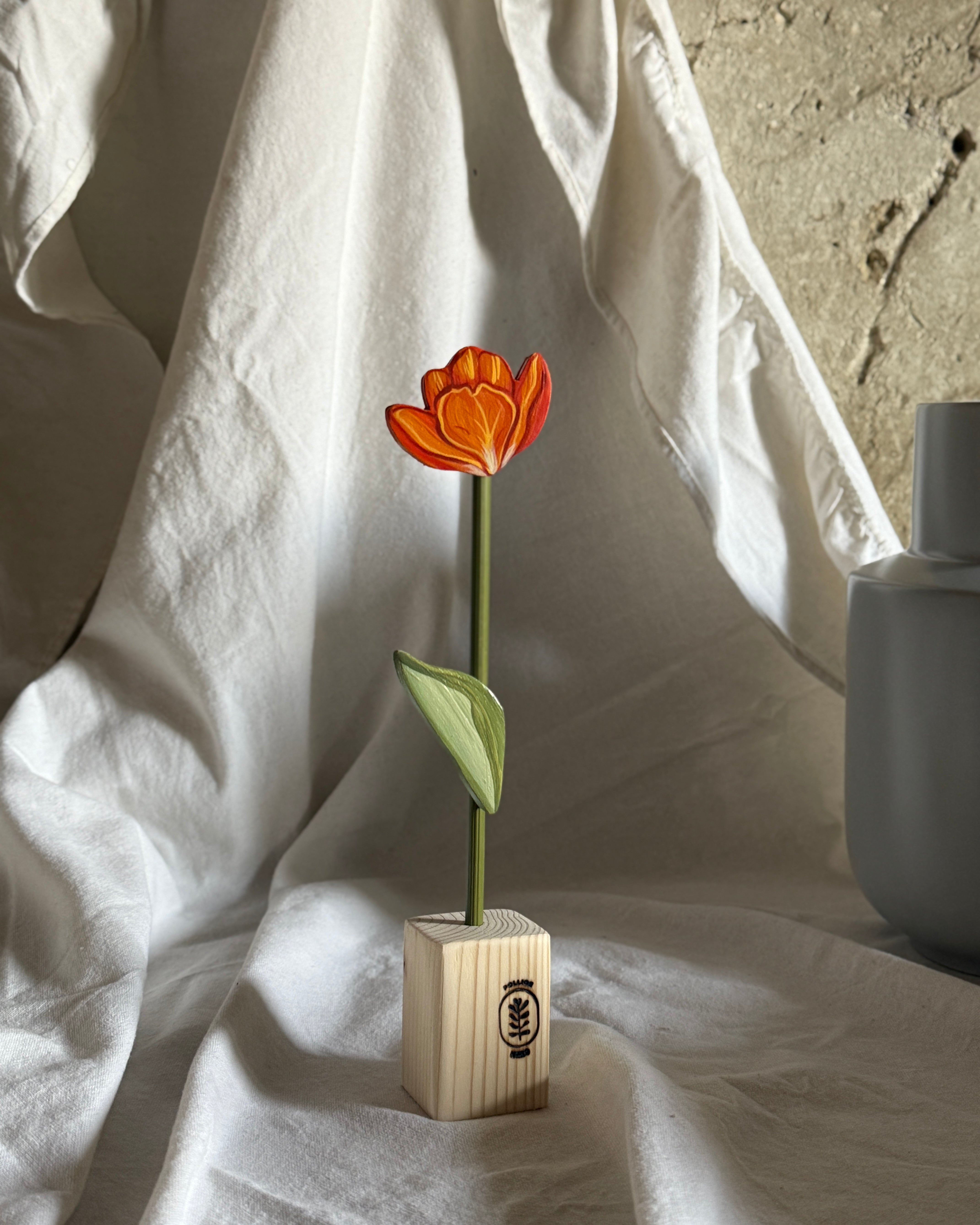Tulipano mignon