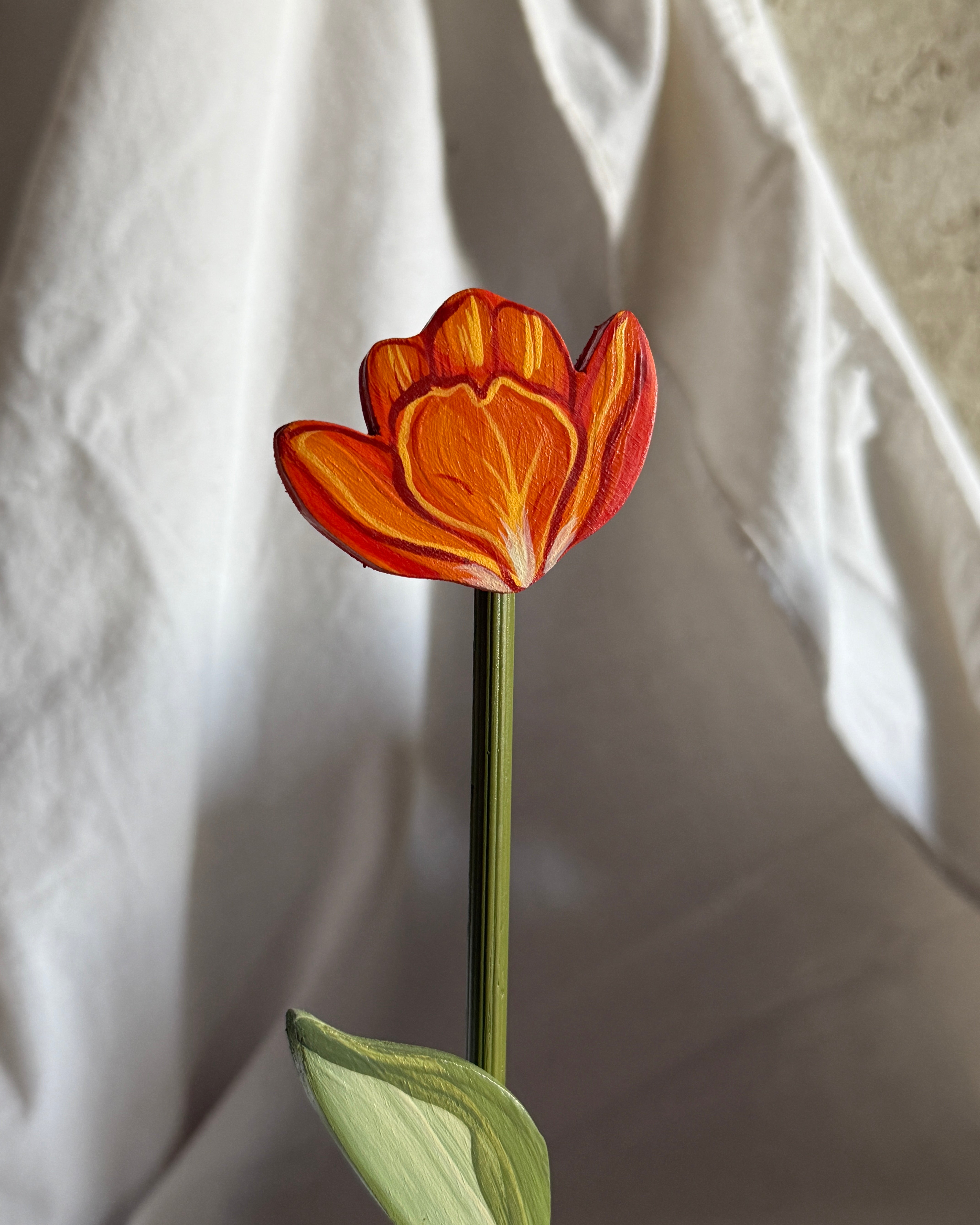 Tulipano mignon