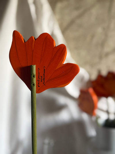 Tulipano