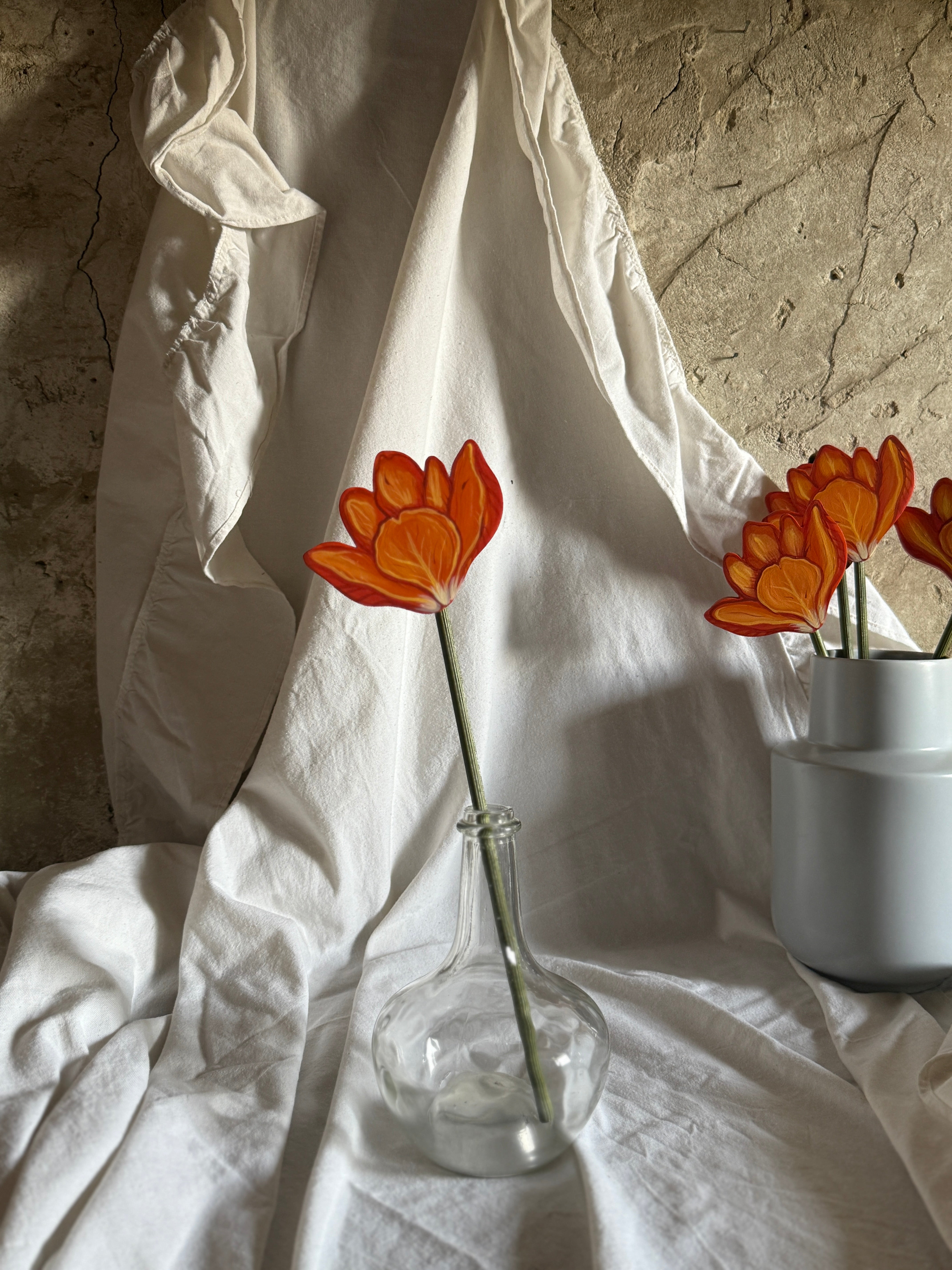 Tulipano