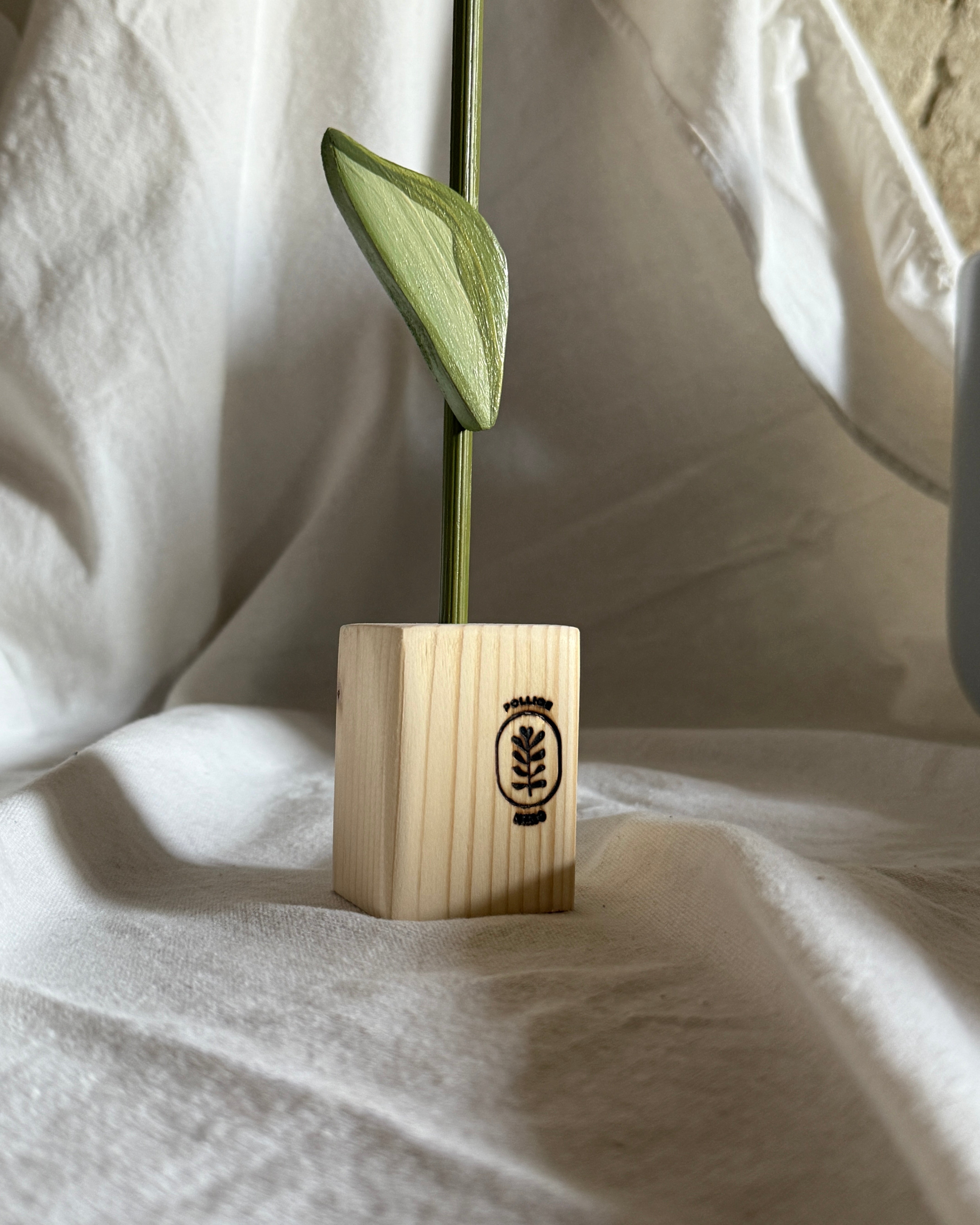 Tulipano mignon