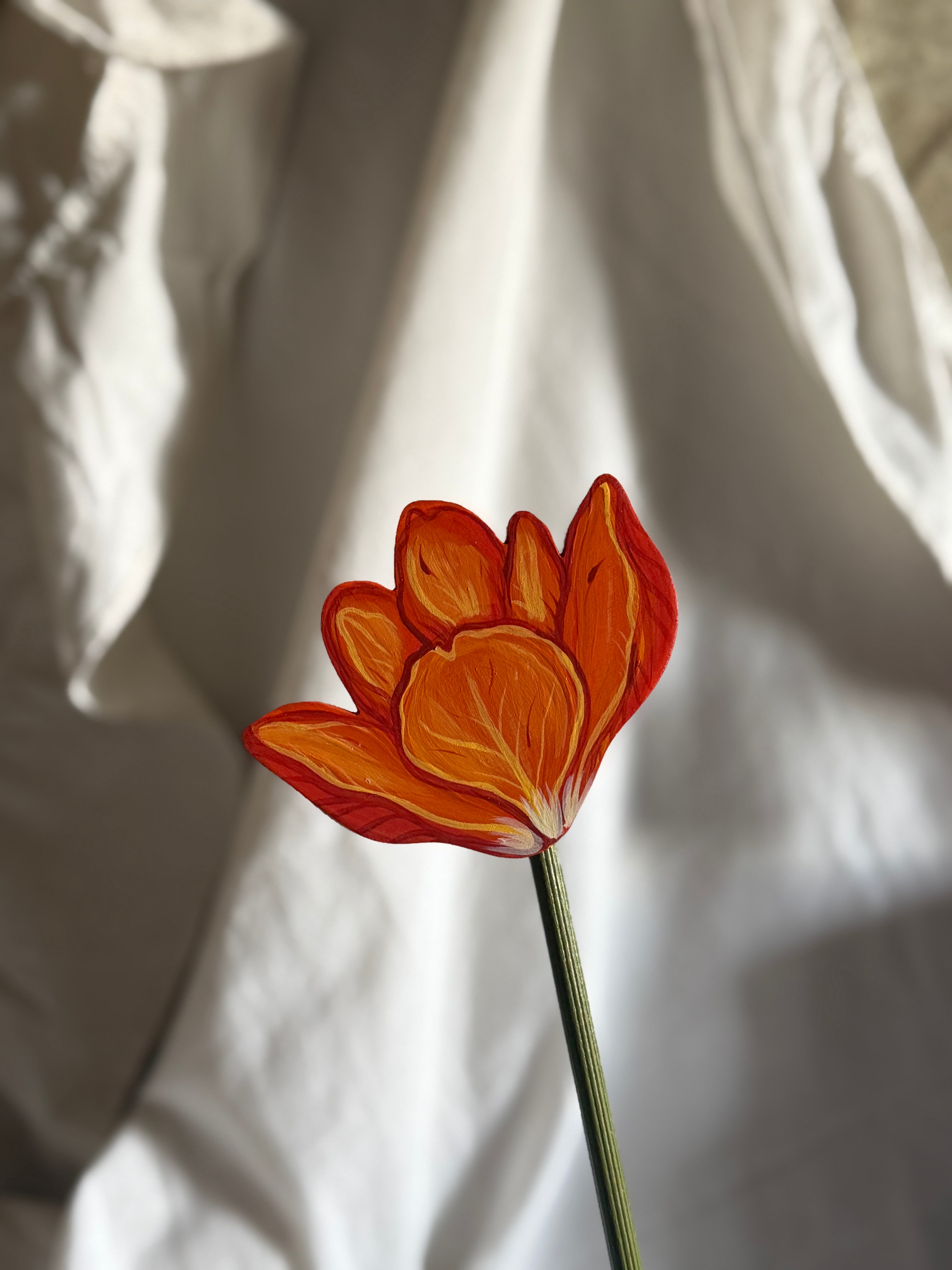 Tulipano